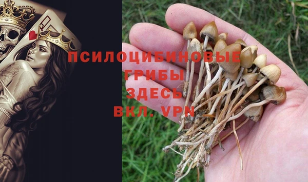 spice Баксан