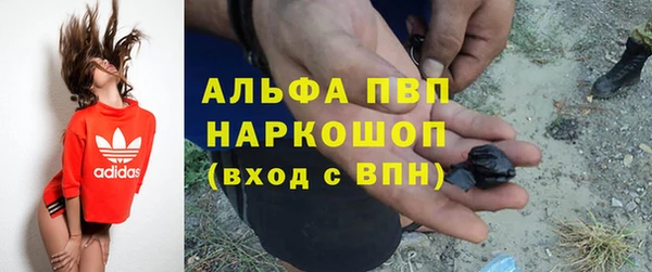 spice Баксан